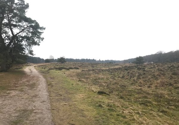 Wandeling 'Het Leesten'.
